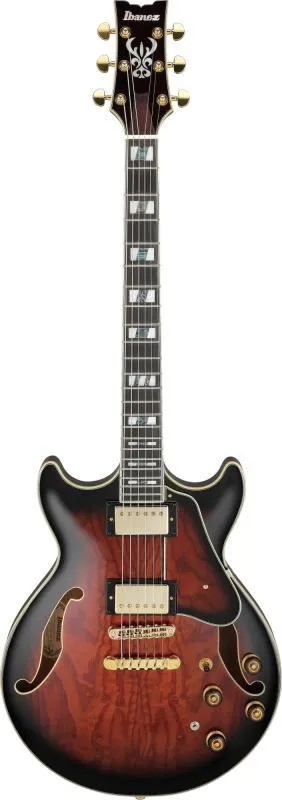 Ibanez AM153QA-DBS Artcore Expressionist elektrická kytara