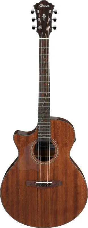 Ibanez AE295L-LGS levá elektroakustická kytara
