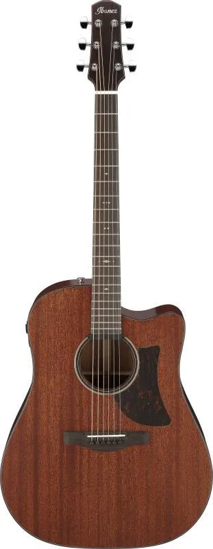 Ibanez elektro-akustická kytara dreadnought AAD440CE-LGS