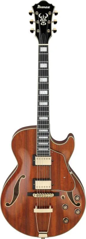 Ibanez AG95-NT elektrická kytara