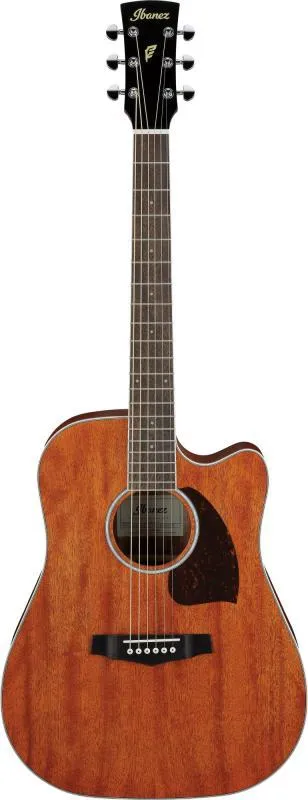 Ibanez Dreadnought akustická kytara, otevřená struktura, přírodní