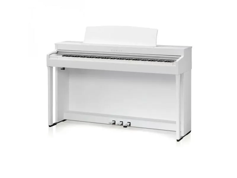 Kawai CN301W