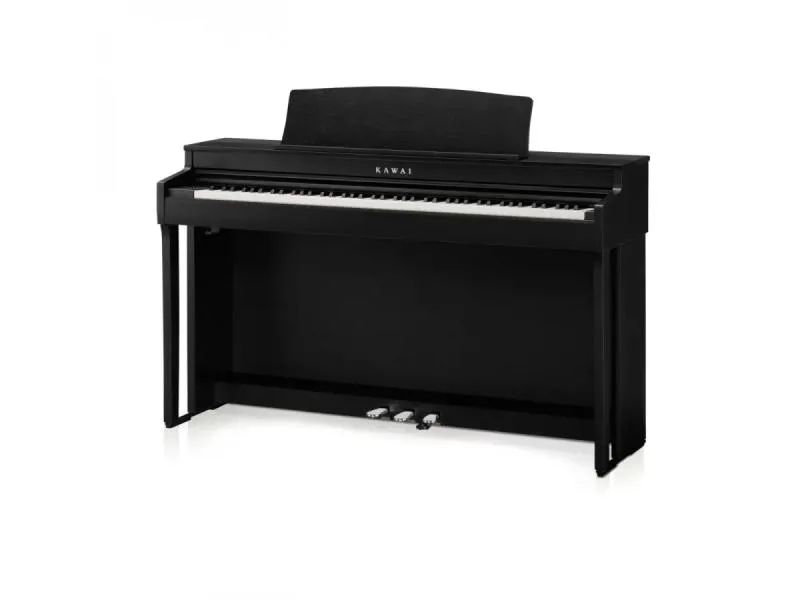 Kawai CN301R