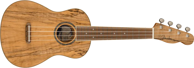 Fender Koncert ukulele Spalted Maple, exotické dřevo