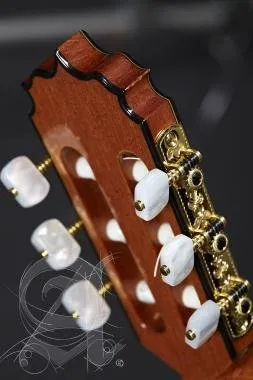 Alhambra ALH-J.M. Vilaplana NT + caseAlhambra Gitár José María Vilaplana Serie NT Cédrus, tömör indi