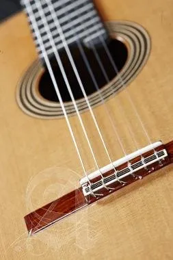 Alhambra ALH-Linea Profesional + caseAlhambra Gitár Línea Profesional, Cédrus, tömör indiai rózsafa,