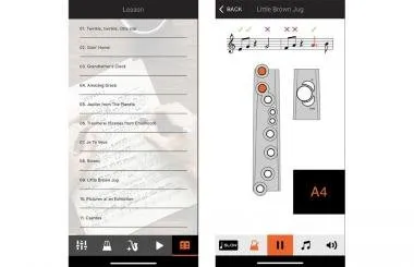 Roland AE-01 Aerophone mini kompakt digitális fúvós hangszer Bluetooth kapcsolat