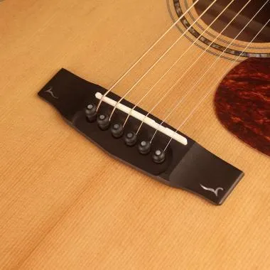 Cort Co-Gold-A6 with case akusztikus gitár, All solid
