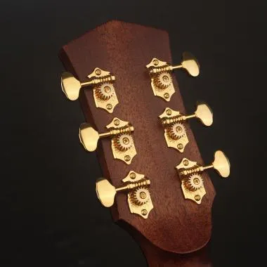 Cort Co-Gold-A6 with case akusztikus gitár, All solid