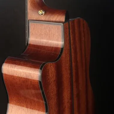 Cort Co-Gold-A6 with case akusztikus gitár, All solid