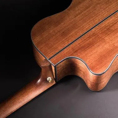 Cort Co-Gold-A6 with case akusztikus gitár, All solid