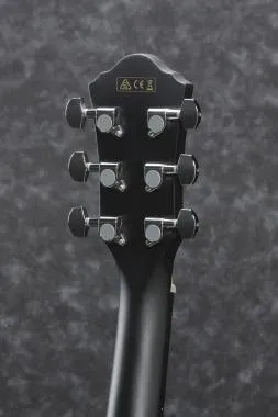 Ibanez AEG50-BK elektroakusztikus gitár