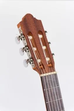 Camps SN1C klasszikus gitár, 4/4-es méret, tömör cédrus fedlap, babérfa fogólap, matt natúr szín, Fishman