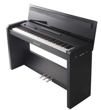 Pearl River Digitální klavír, 88 kláves, černý