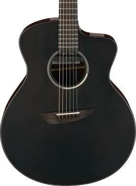 Ibanez JGM5-BSN signature elektro-akusztikus gitár