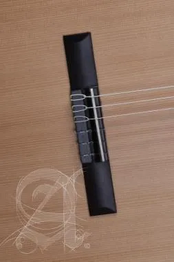 Alhambra ALH-Z Nature CW EZ + case Gitár, cédrus, mahagóni, indiai rózsafa fogólap, Fishman előerősítő, tokkal