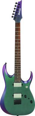 Ibanez Prestige RGD 6-Str Polar Light Flat, včetně kufru