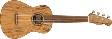 Fender Koncert ukulele Spalted Maple, exotické dřevo