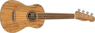 Fender Zuma Exotic Spalted Maple koncert ukulele