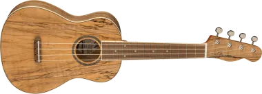Fender Zuma Exotic Spalted Maple koncert ukulele
