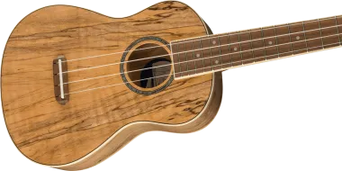 Fender Zuma Exotic Spalted Maple koncert ukulele
