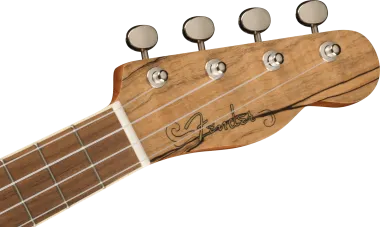 Fender Zuma Exotic Spalted Maple koncert ukulele