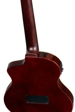 Ortega RTPSTD-NAT TourPlayer DeLuxe nylon húros gitár 6 húros lucfenyő natúr + tok