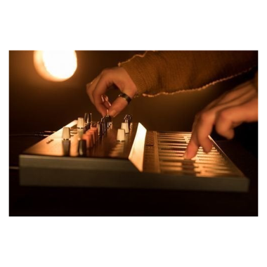 Arturia ART570101 MICROFREAK