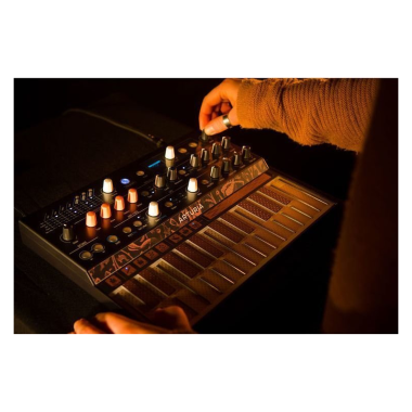 Arturia ART570101 MICROFREAK