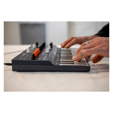 Arturia ART570101 MICROFREAK