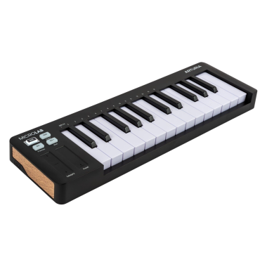 Arturia ART230512 MicroLab Black