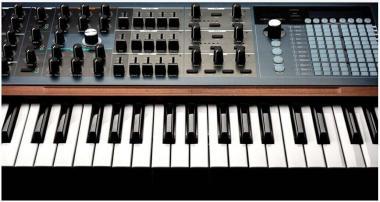 Arturia ART551001 POLYBRUTE