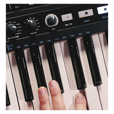 Arturia ART531003 MiniBrute 2 Noir