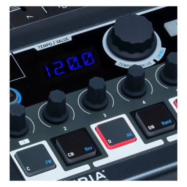 Arturia ART531103 MiniBrute 2S Noir