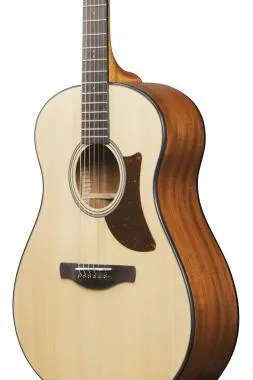 Ibanez AAM50-OPN Advanced akusztikus gitár 6 húros Open Pore Natural Auditorium test