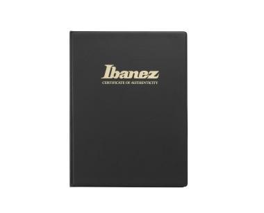 Ibanez IV2RG elektromos gitár 6 húros, keménytokkal