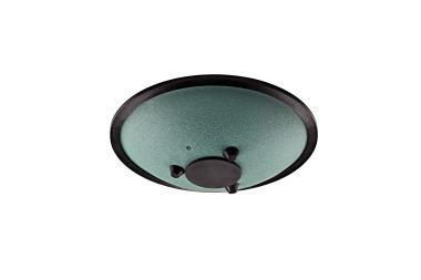 Meinl CSTD1DG MEINL Sonic Energy Compact Steel Tongue Drum 10\