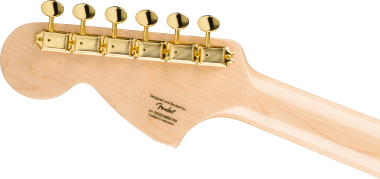 Fender 0377028577 FSR PARA TM TELE DLX TGP GHW MH PMT