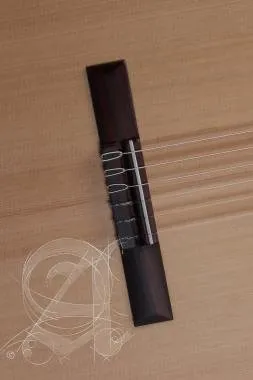 Alhambra ALH-2F PickguardAlhambra Gitár Cédrus, Tömör juhar, fügefa, indiai rózsafa fogólap (Flamenc