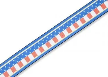 Levy's MP2-011 Gitárpánt, poliészter, fekete műanyag oldalakkal, bőr végekkel, 88-152cm állítható